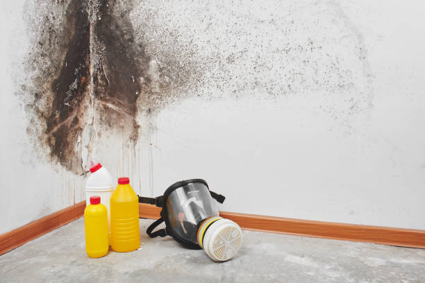 Best Emergency Mold Removal  in Pymatuning Central, PA