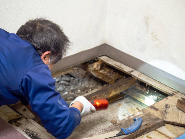 Best Best Mold Removal Companies  in Pymatuning Central, PA