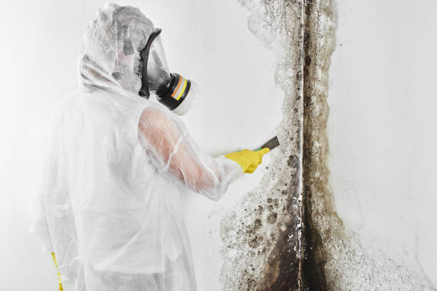 Best Office Mold Removal Services  in Pymatuning Central, PA