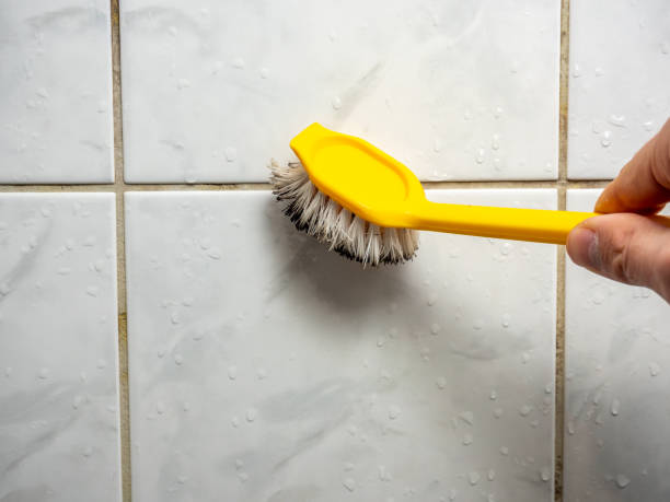 Professional Mold Removal in Pymatuning Central, PA