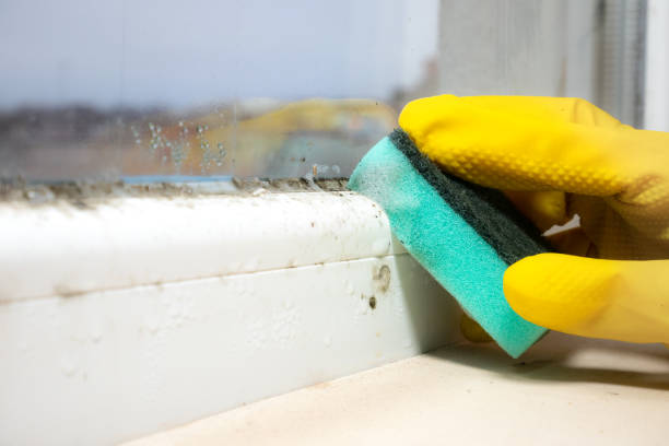 Water Damage Restoration in Pymatuning Central, PA