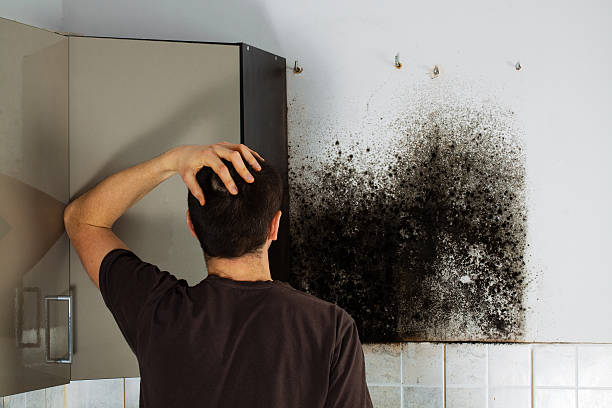 Best Mold Testing and Removal  in Pymatuning Central, PA